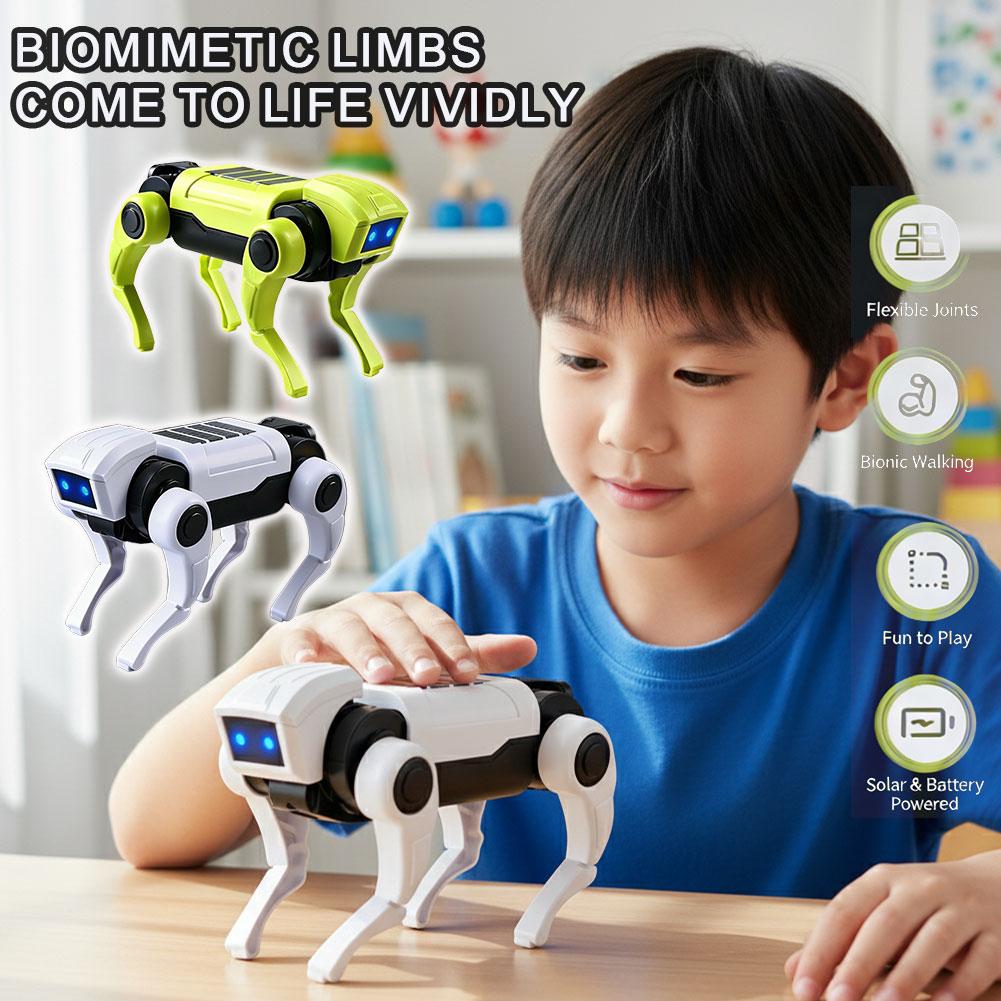 DIY Assembly RC Robot Dog Toy  - Science Project Robot incelemesi ve fiyatı