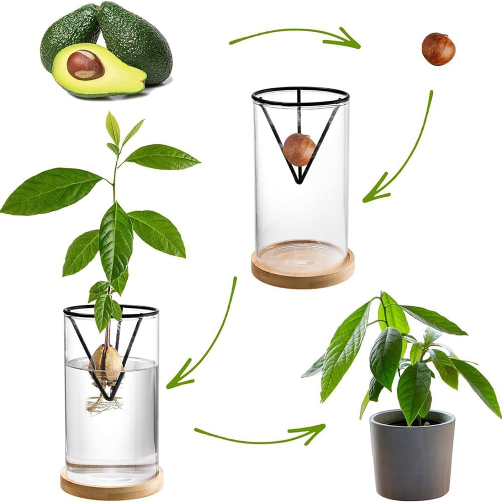 1Set Avocado Tree Growing Kits - Crystal Growing Kit incelemesi ve fiyatı