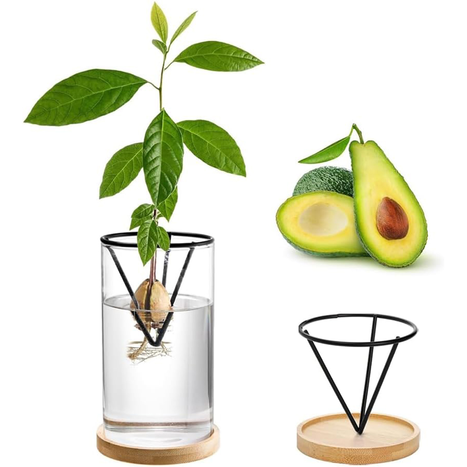 1Set Avocado Tree Growing Kits - Crystal Growing Kit incelemesi ve fiyatı