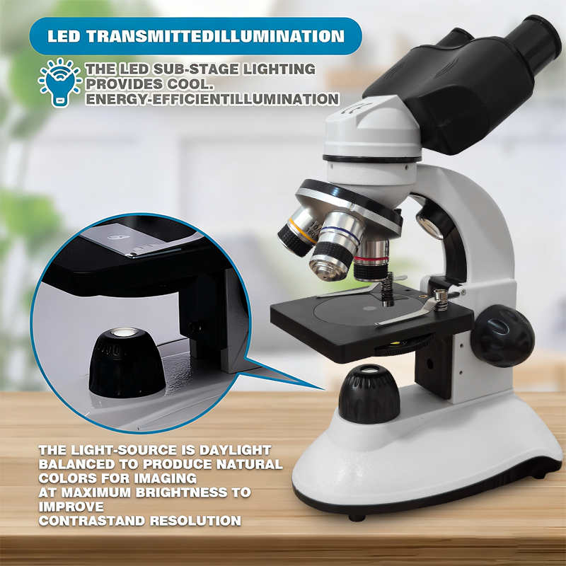 Binocular Compound Microscope  - Microscope Compound 40X incelemesi ve fiyatı
