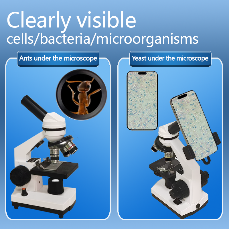 Portable Biological Optical Co - Microscope Compound 40X incelemesi ve fiyatı