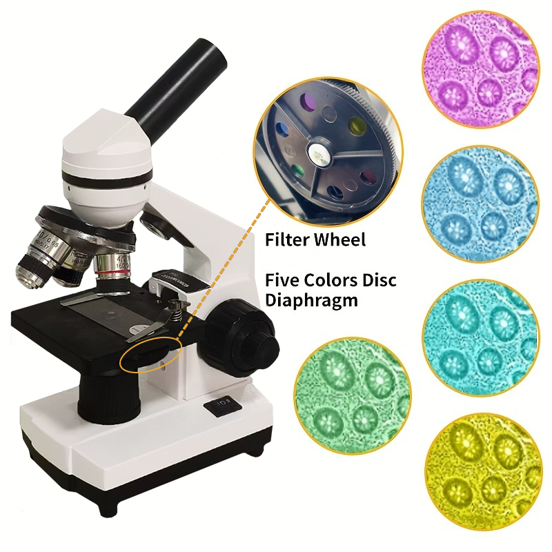 Portable Biological Optical Co - Microscope Compound 40X incelemesi ve fiyatı