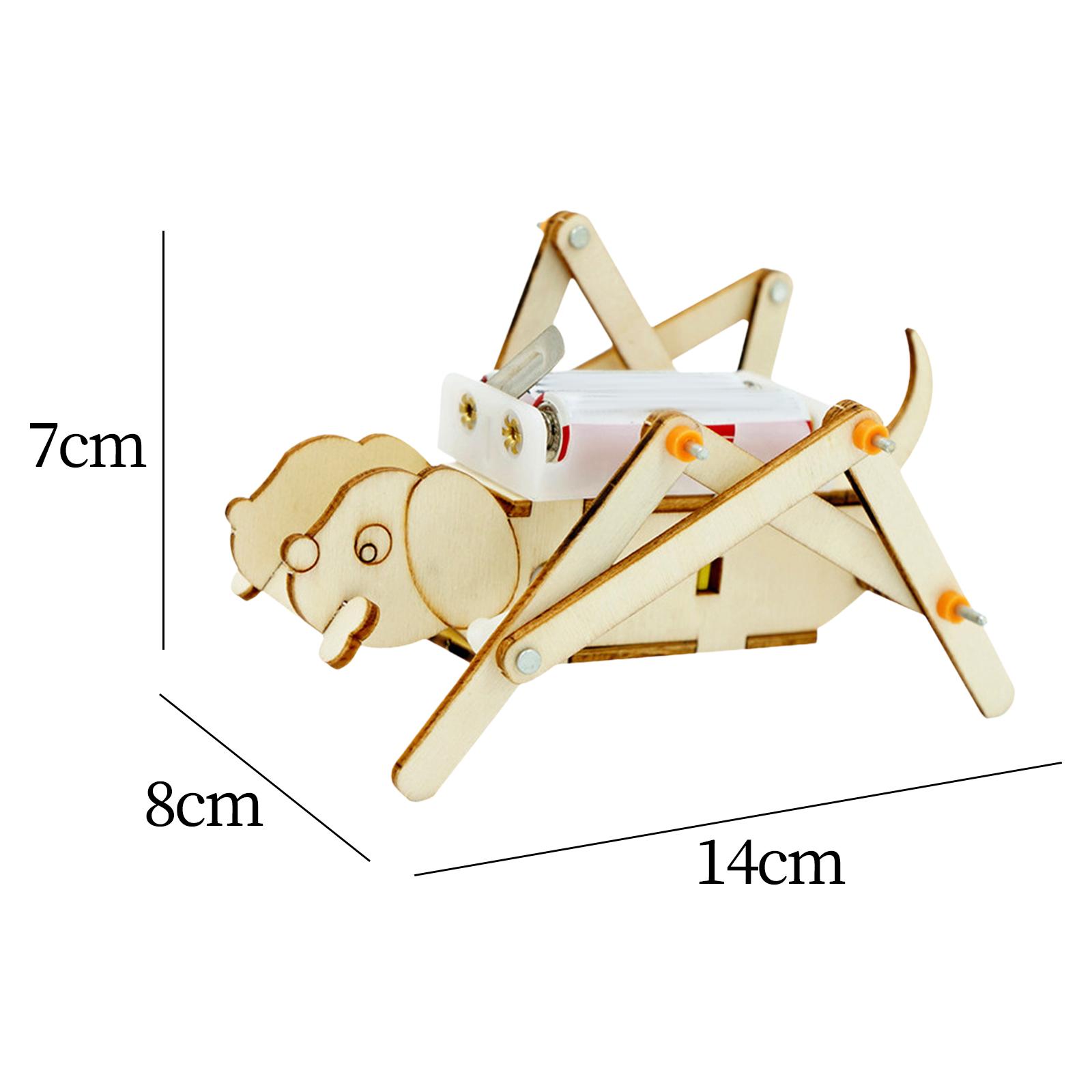 DIY Wooden Model Set Science K - Science Project Toys Making incelemesi ve fiyatı