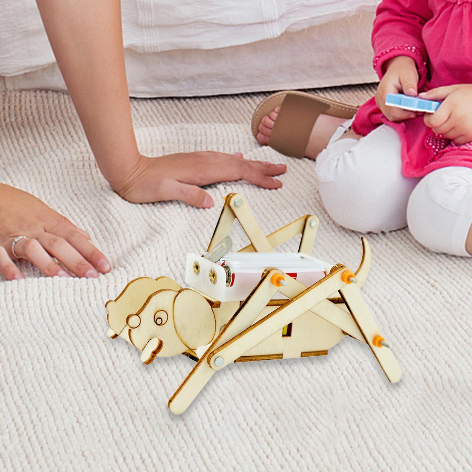 DIY Wooden Model Set Science K - Science Project Toys Making incelemesi ve fiyatı