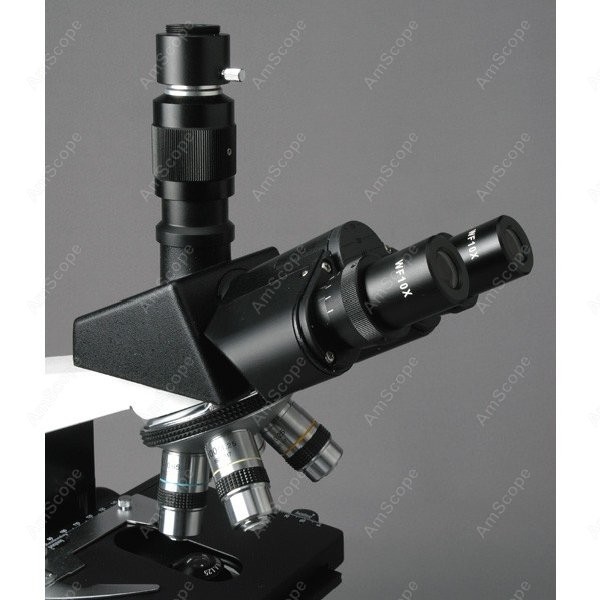 AmScope T490 Series Simul-Foca - Microscope Compound 40X incelemesi ve fiyatı