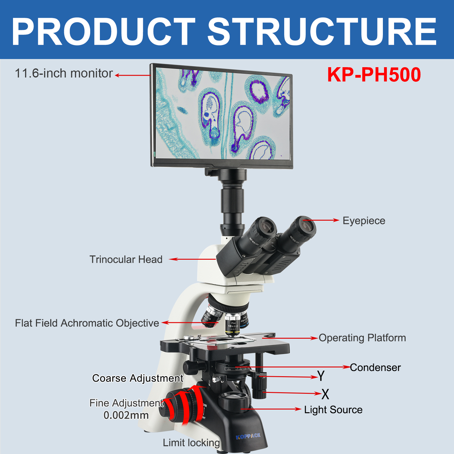 KOPPACE 40X-1600X Electron Com - Microscope Compound 40X incelemesi ve fiyatı