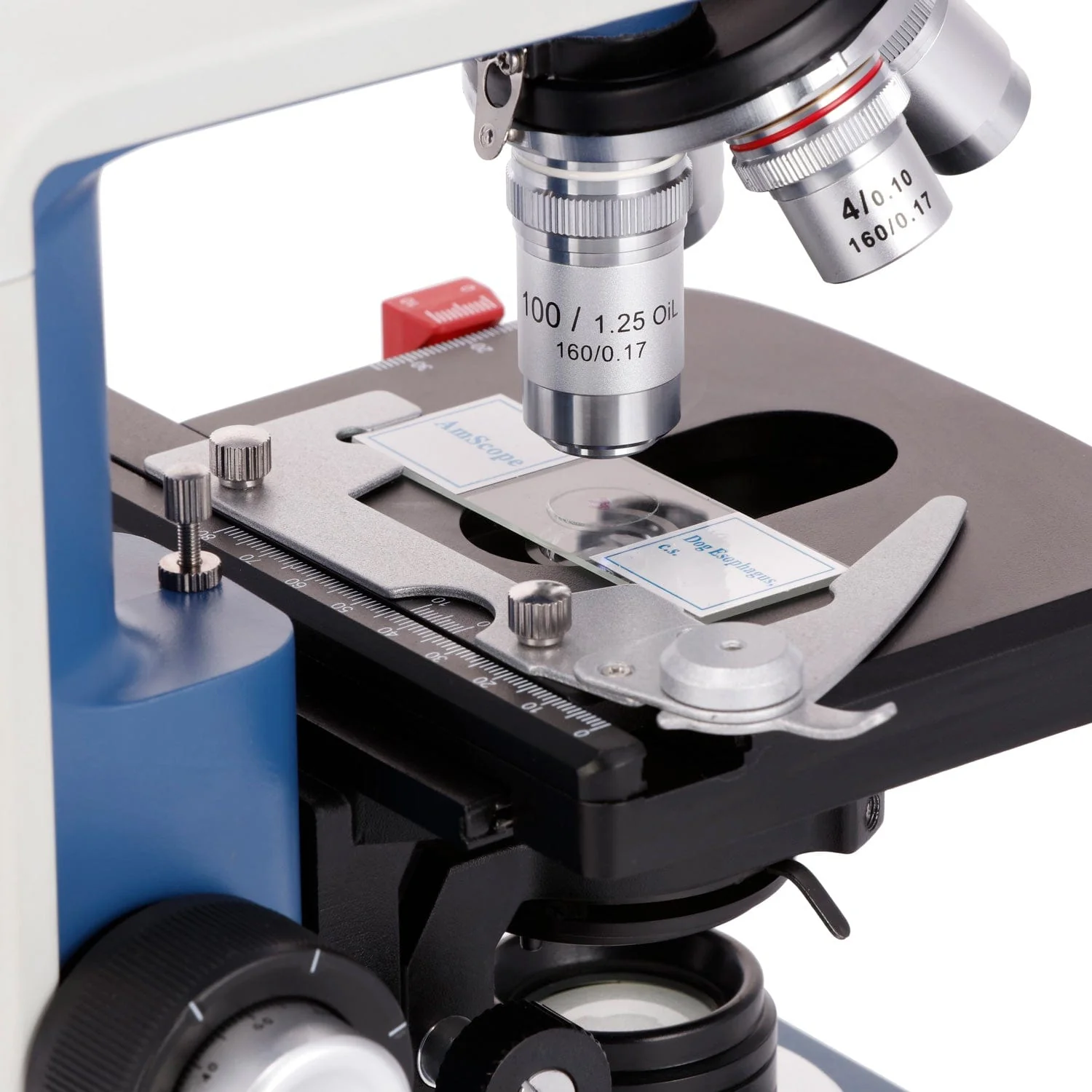 AmScope 40X-2500X USB-C Rechar - Microscope Compound 40X incelemesi ve fiyatı
